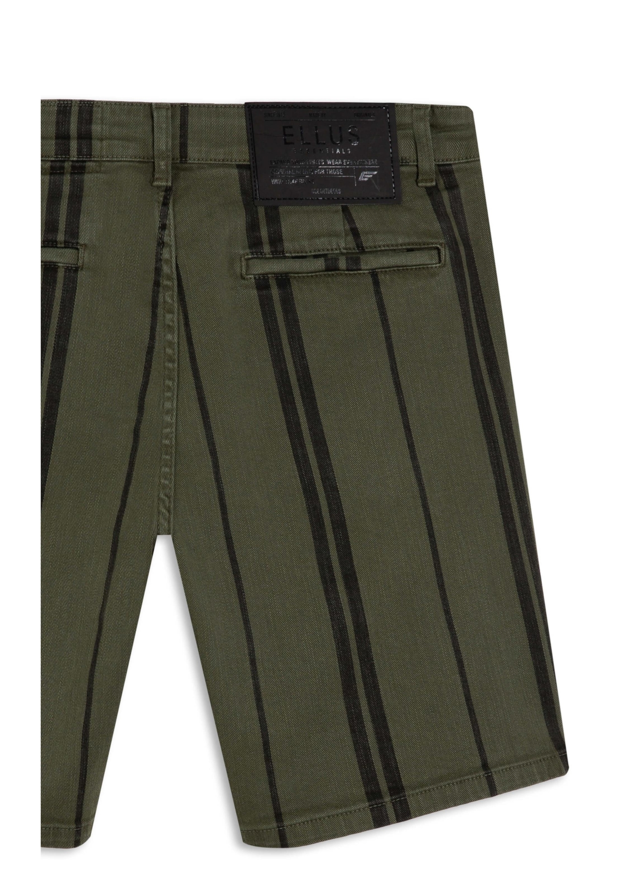 Bermuda Original Color Stripe Verde Escuro