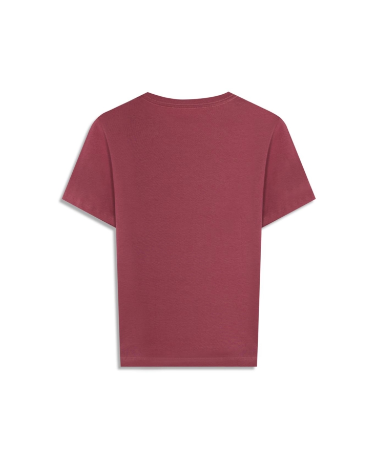 Blusa Cotton Fine Ellus Easa Classic Slim Mauve