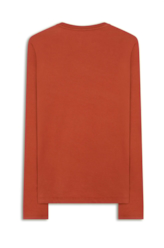 Blusa Flower Burn Terra