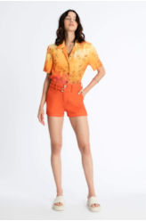 Blusa Tiger Garden Laranja