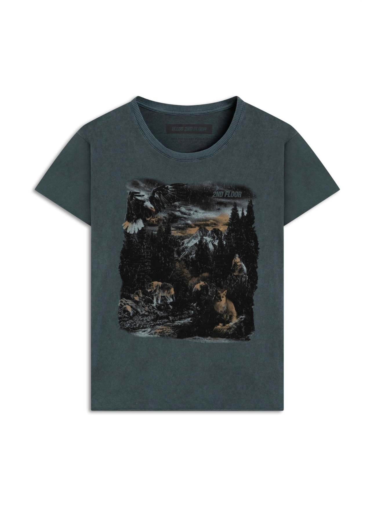 Blusa Washed 2nd Landscape Bottle
