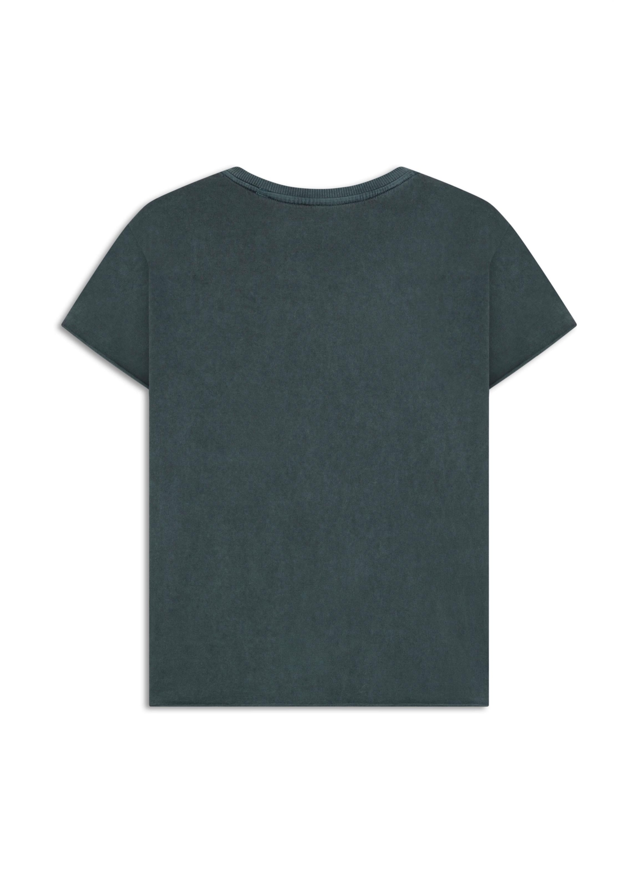 Blusa Washed 2nd Landscape Bottle