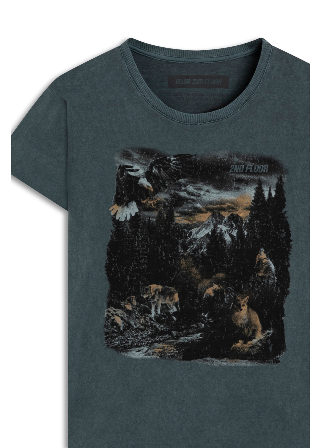 Blusa Washed 2nd Landscape Bottle