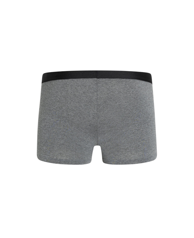 Boxer Basica Elastico Ellus Chumbo Mescla