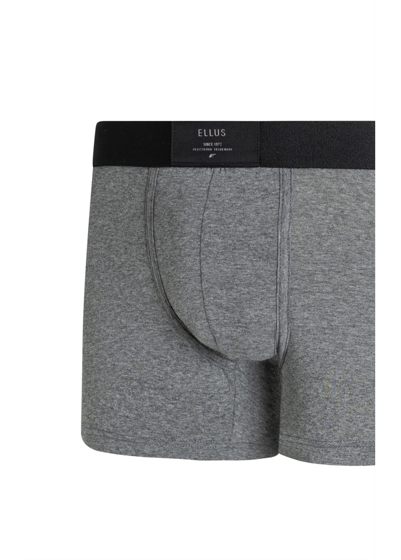 Boxer Basica Elastico Ellus Chumbo Mescla