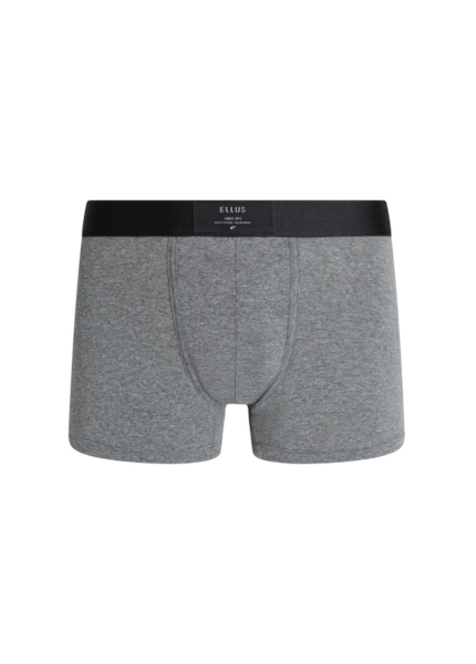 Boxer Basica Elastico Ellus Chumbo Mescla