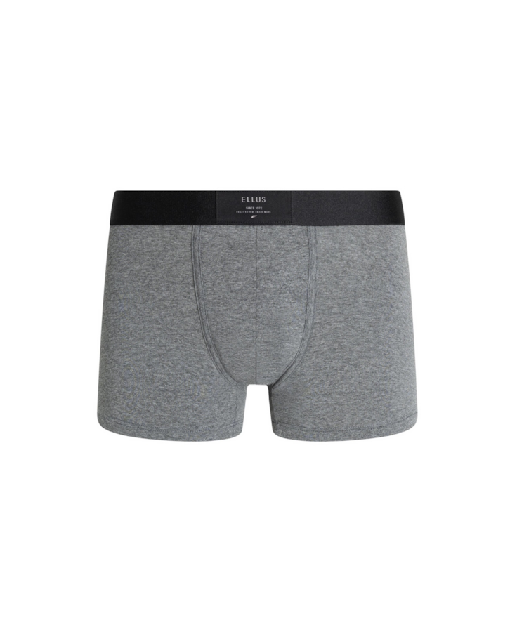 Boxer Basica Elastico Ellus Chumbo Mescla