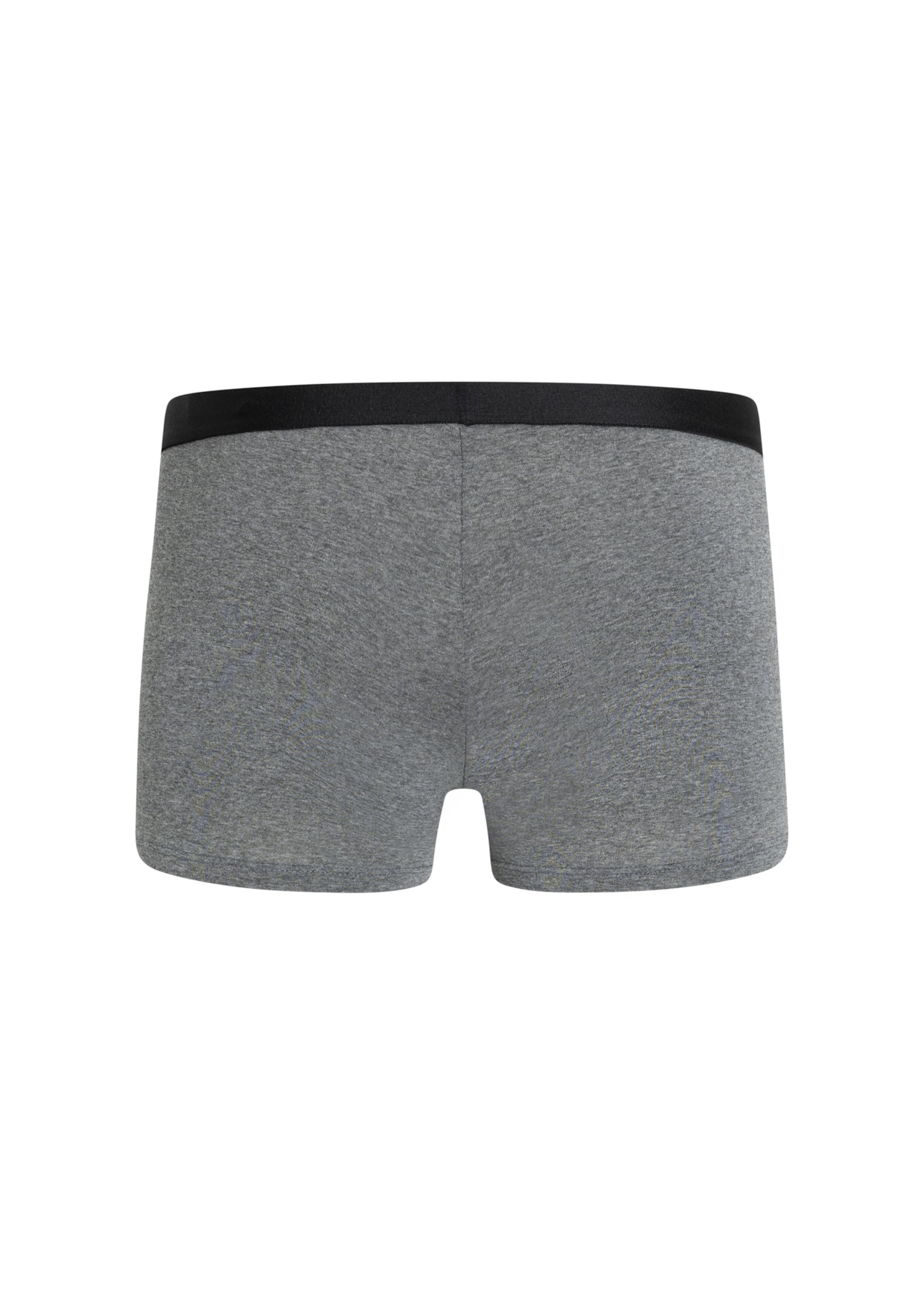 Boxer Basica Elastico Ellus Chumbo Mescla