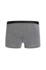 Boxer Basica Elastico Ellus Chumbo Mescla