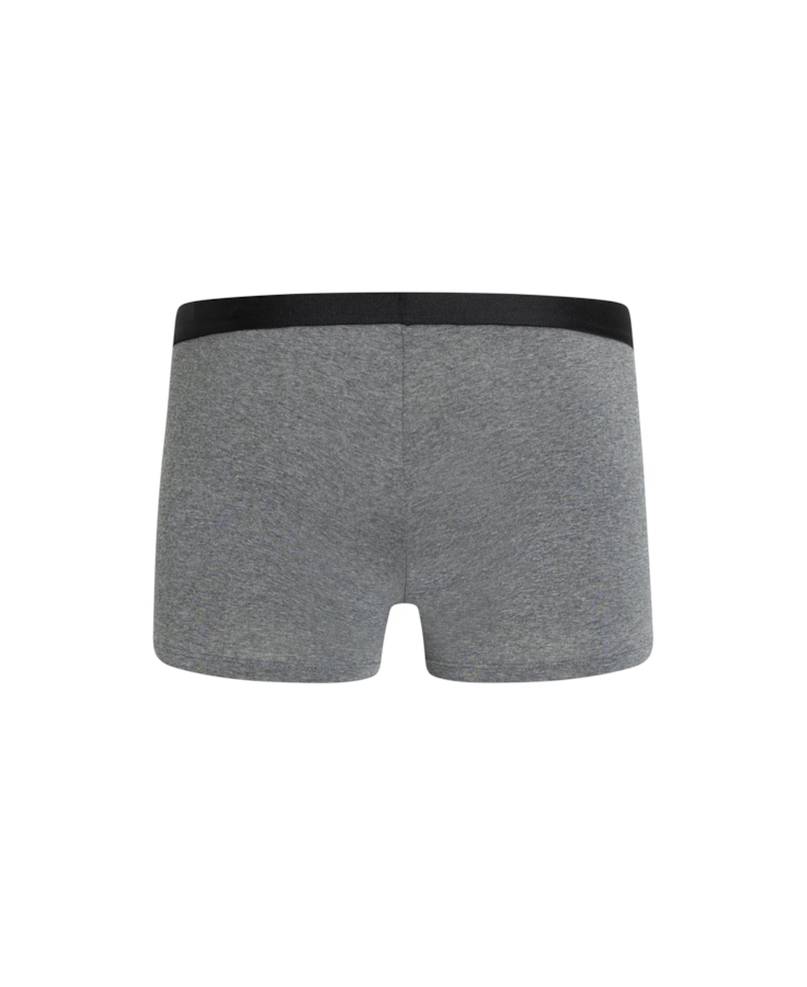 Boxer Basica Elastico Ellus Chumbo Mescla