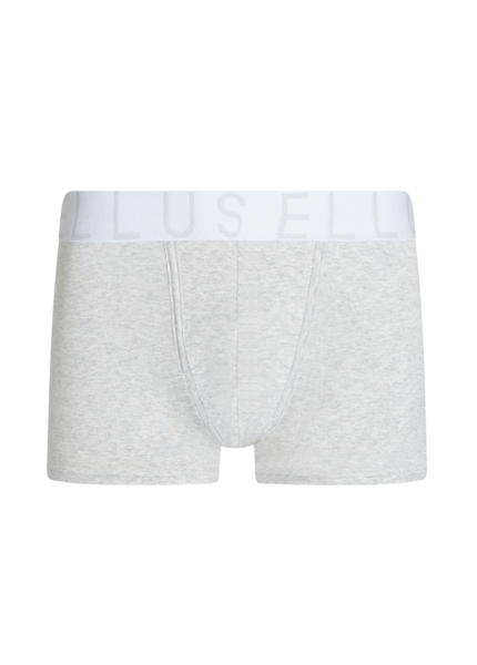 Boxer Icon Ellus Cinza Mescla