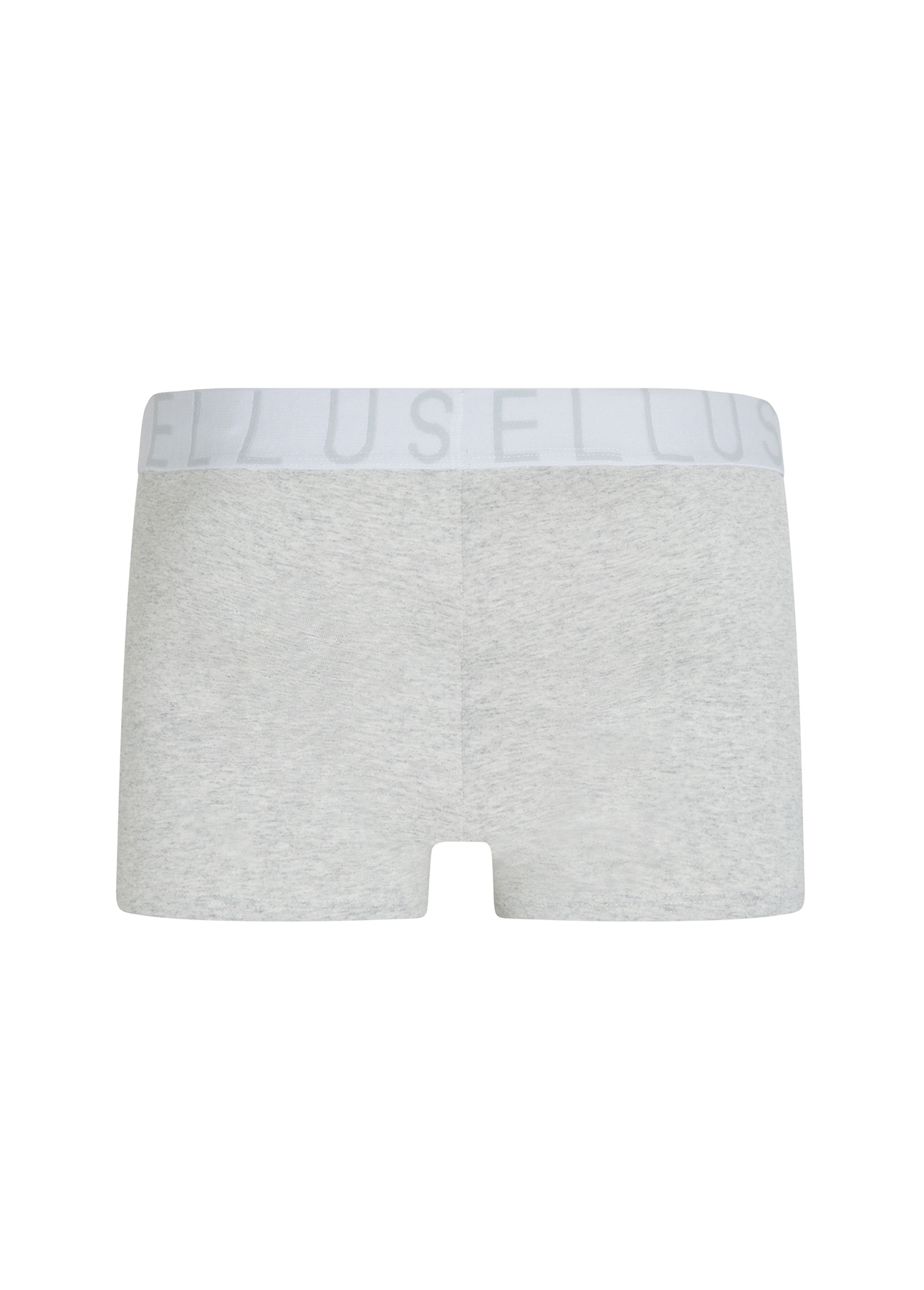 Boxer Icon Ellus Cinza Mescla
