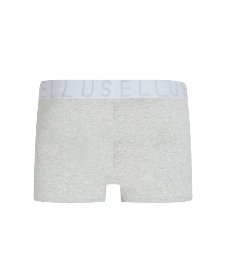 Boxer Icon Ellus Cinza Mescla