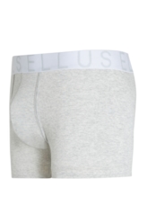 Boxer Icon Ellus Cinza Mescla