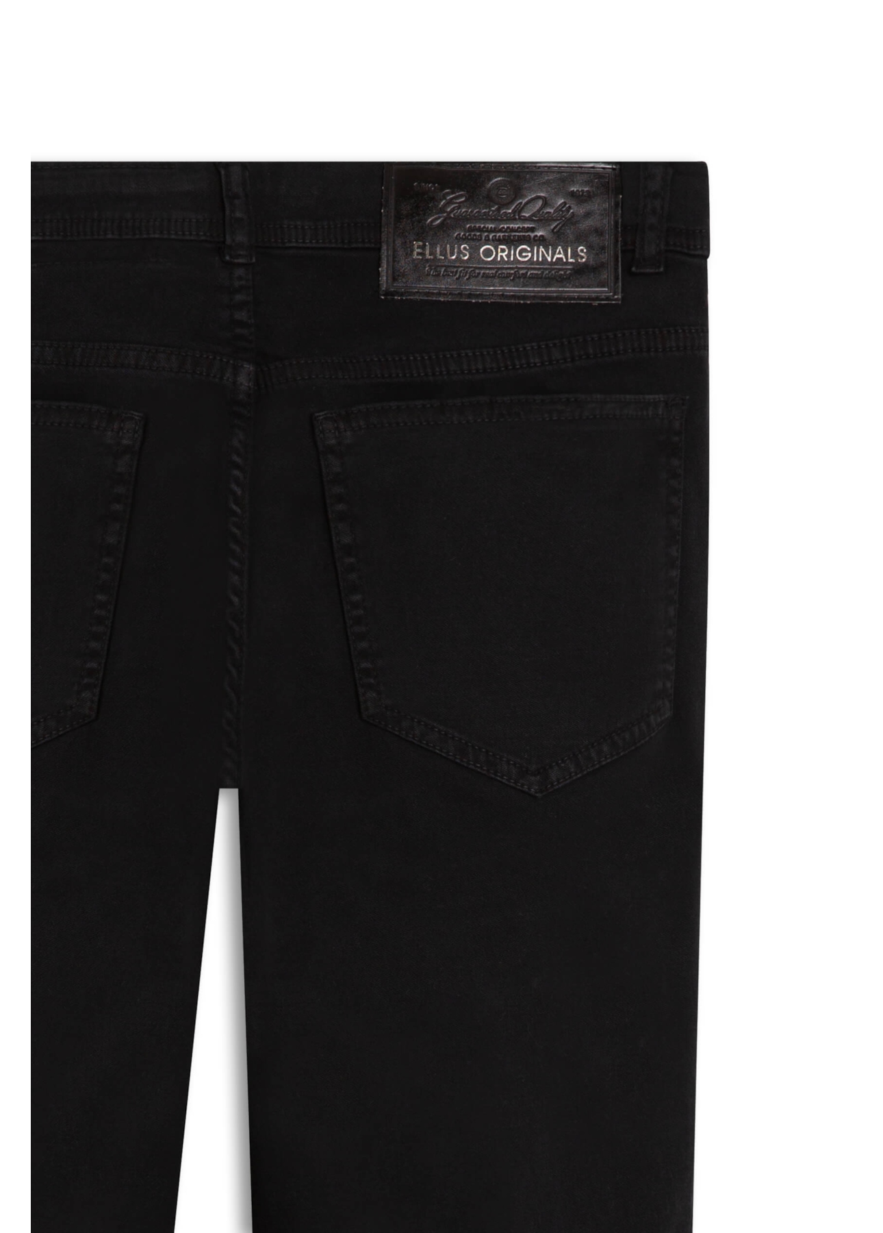 Calça Jogging Color Preppy e Asa Preto
