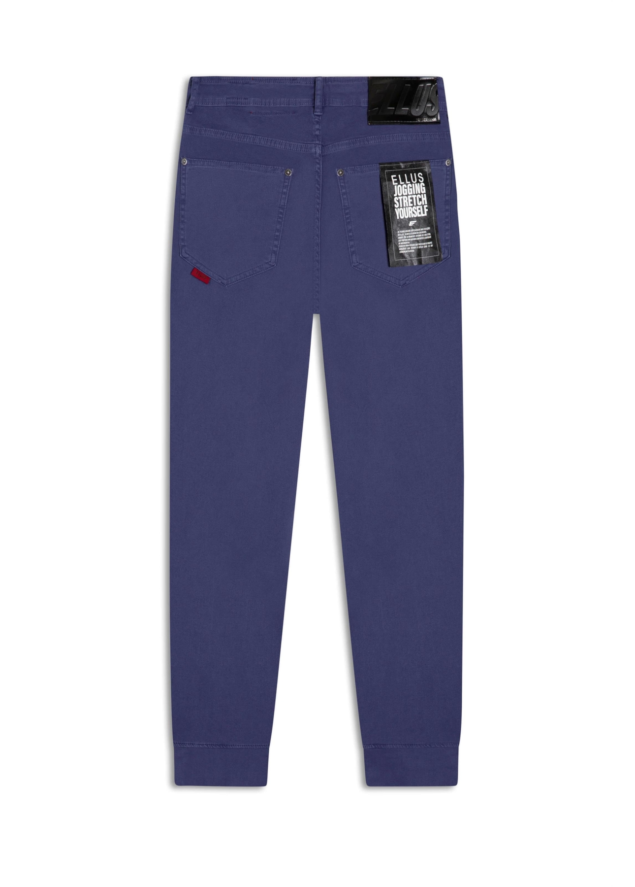 Calça Jogging Color Preppy Purple Blue