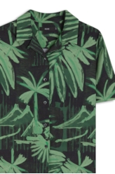 Camisa Tropicalia Americ Padrao 5