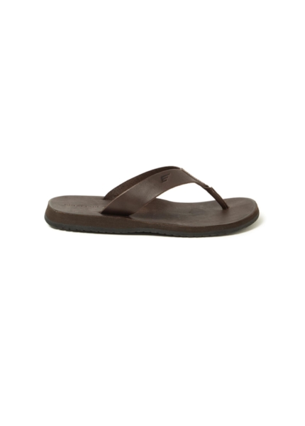 Chinelo Liam Ellus Cafe