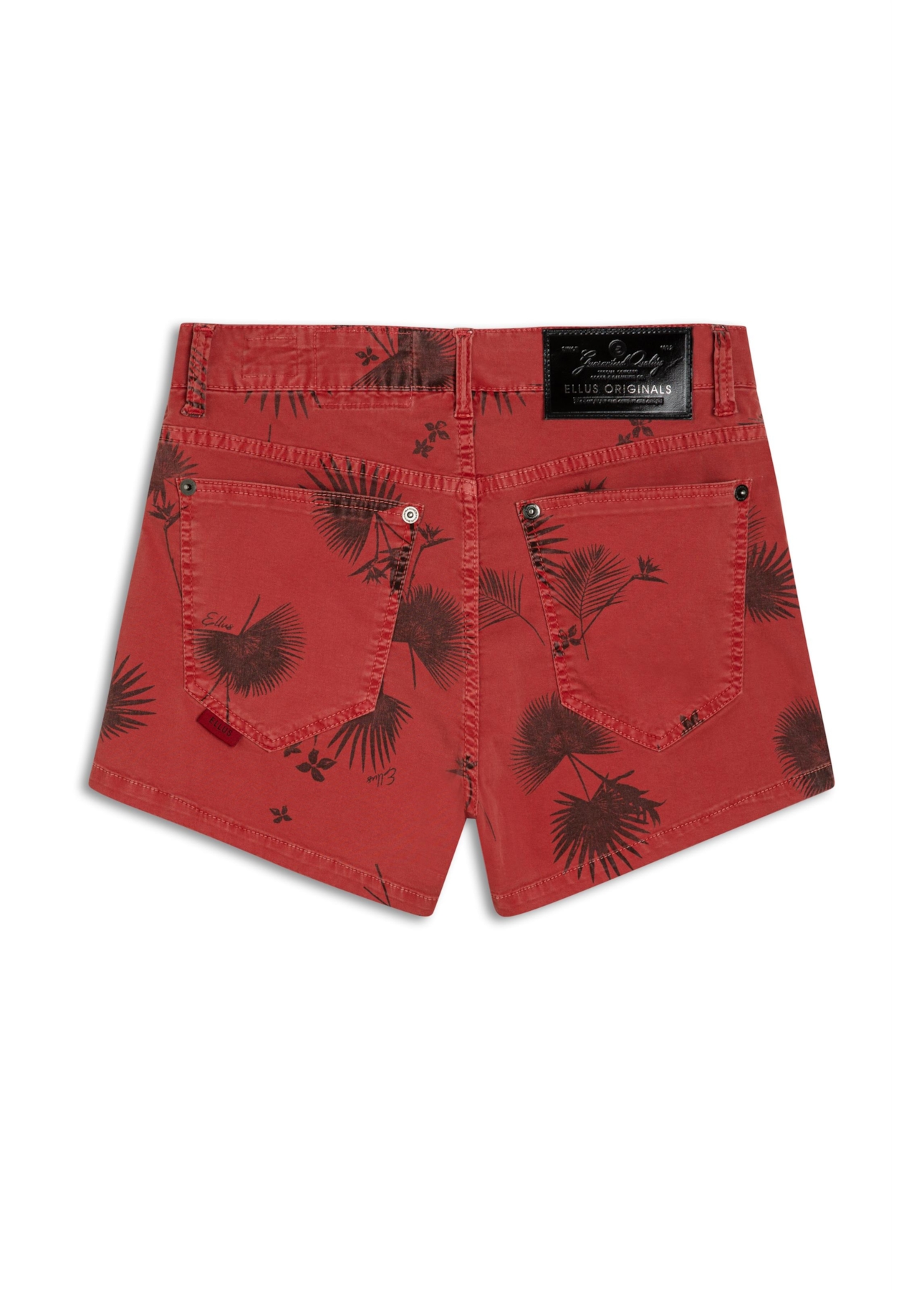 Color Canvas Paradise Higher Kate m Et Cereja