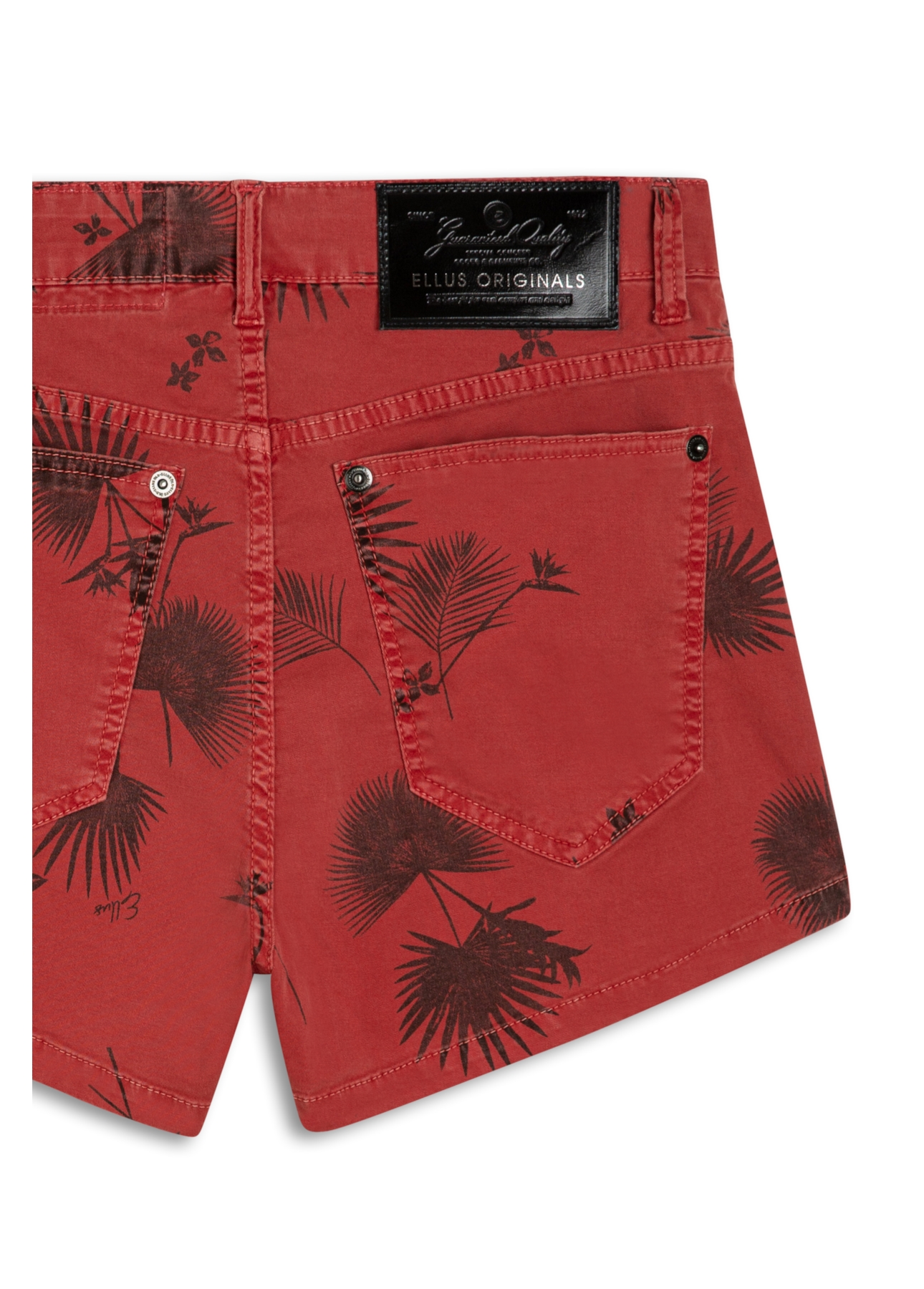 Color Canvas Paradise Higher Kate m Et Cereja