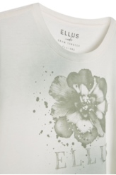 Cotton Spray Paint Flower Classic Mc Verde Seco