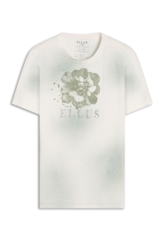 Cotton Spray Paint Flower Classic Mc Verde Seco