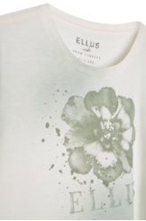 Cotton Spray Paint Flower Classic Mc Verde Seco