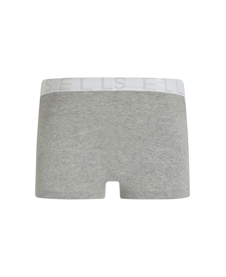Cueca Boxer Ellus Dlx Cinza Mescla