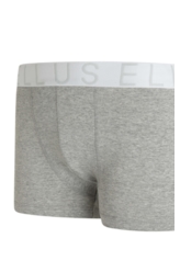 Cueca Boxer Ellus Dlx Cinza Mescla