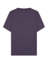 Desenvolvimento 33 Purple Blue