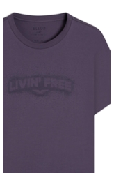 Desenvolvimento 33 Purple Blue