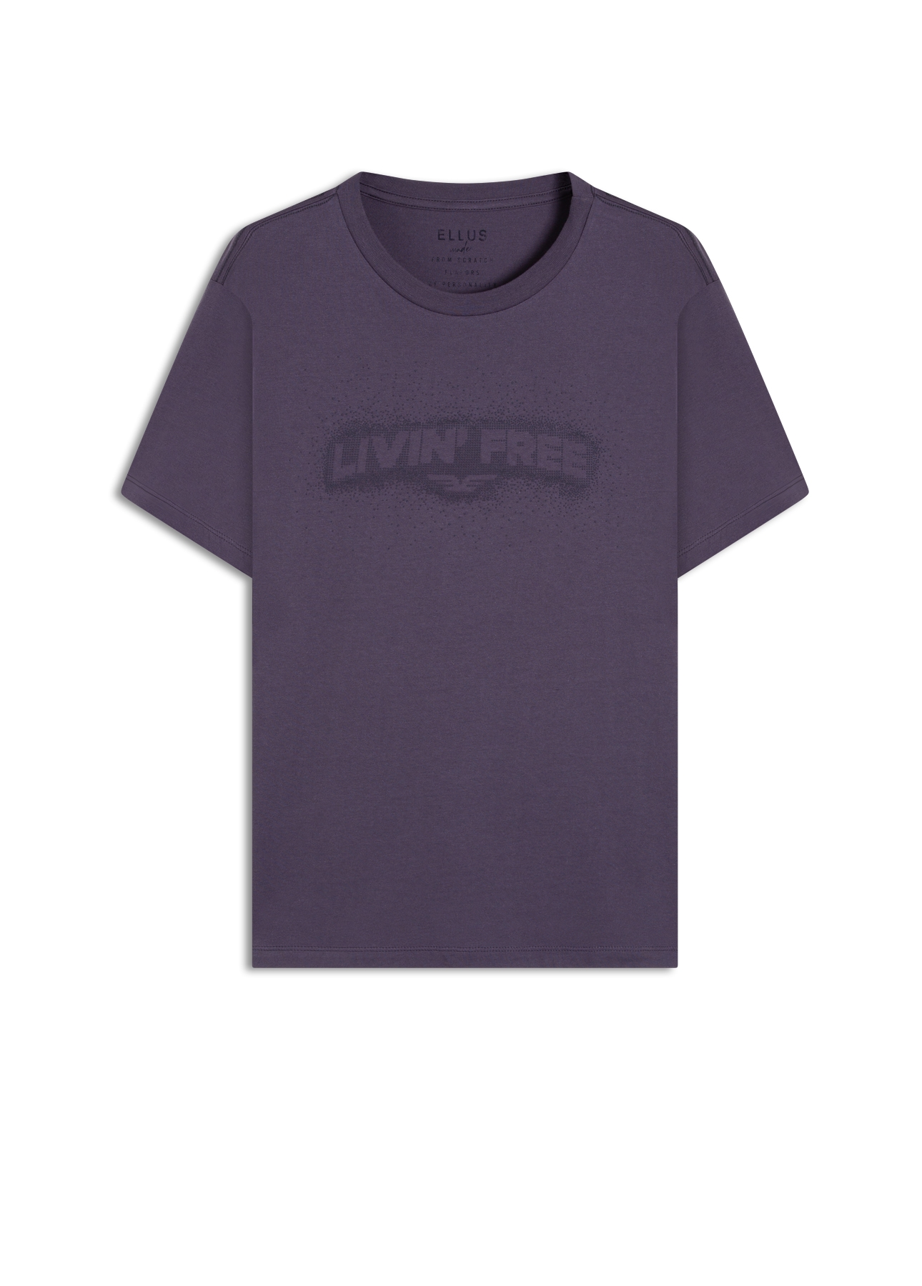 Desenvolvimento 33 Purple Blue