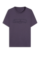 Desenvolvimento 33 Purple Blue