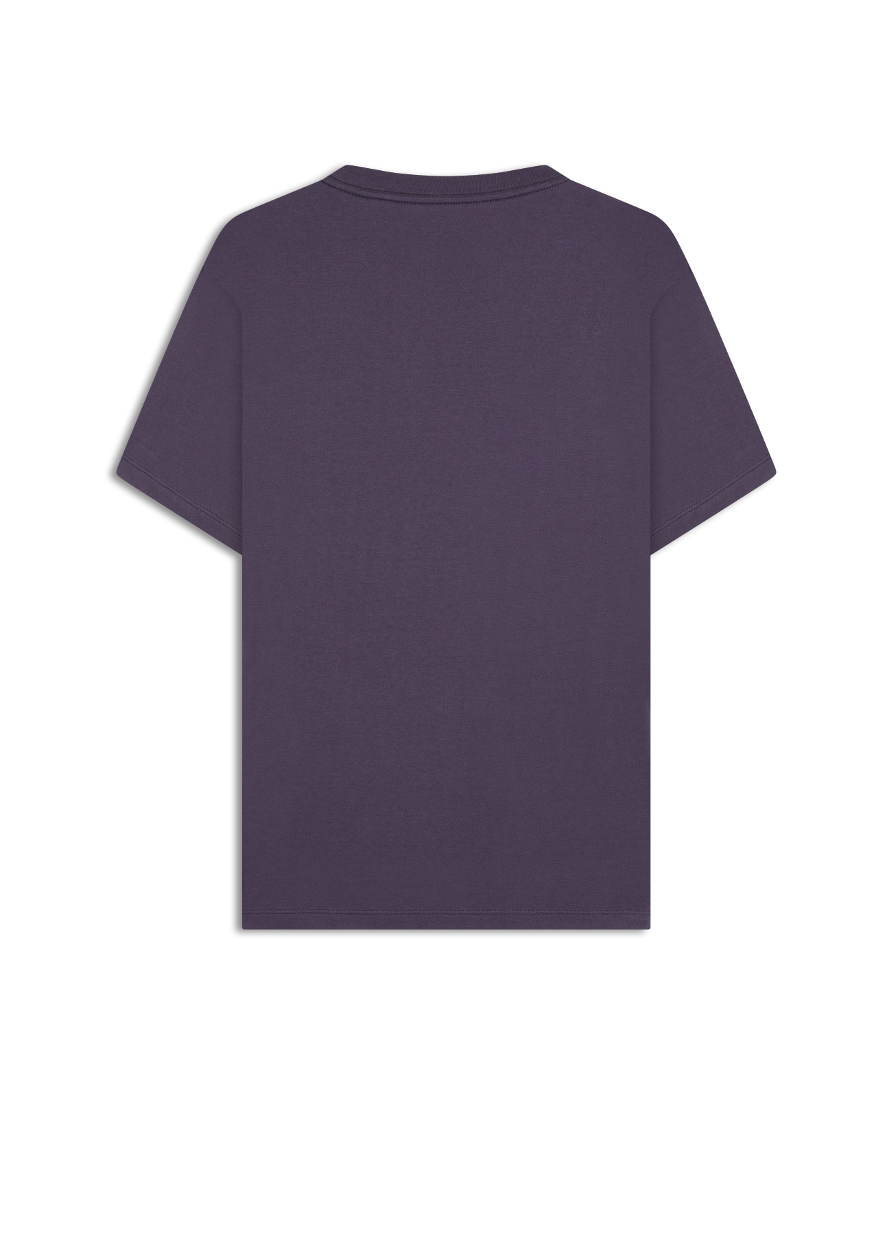 Desenvolvimento 33 Purple Blue