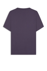 Desenvolvimento 33 Purple Blue