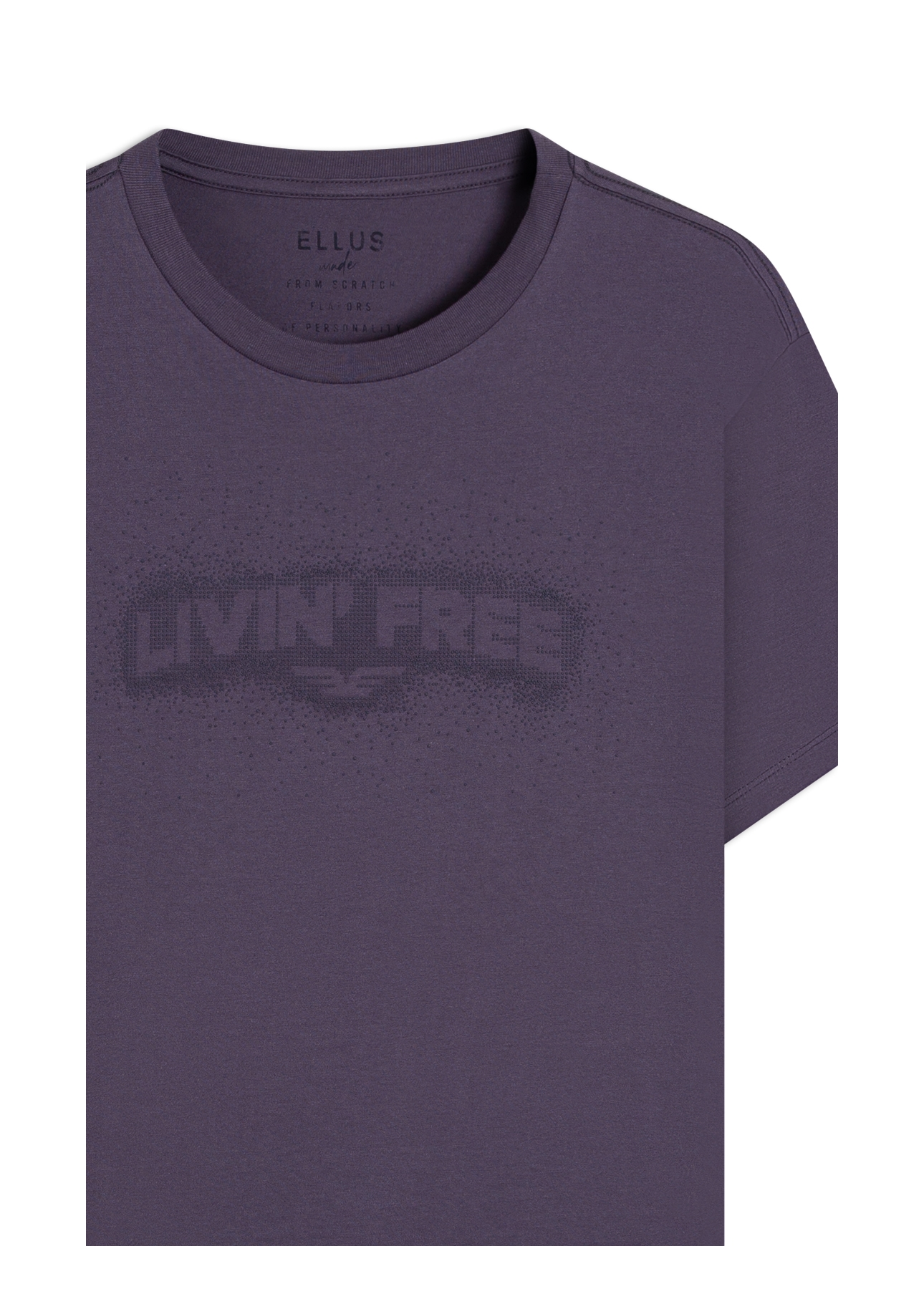 Desenvolvimento 33 Purple Blue