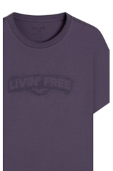 Desenvolvimento 33 Purple Blue