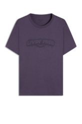 Desenvolvimento 33 Purple Blue