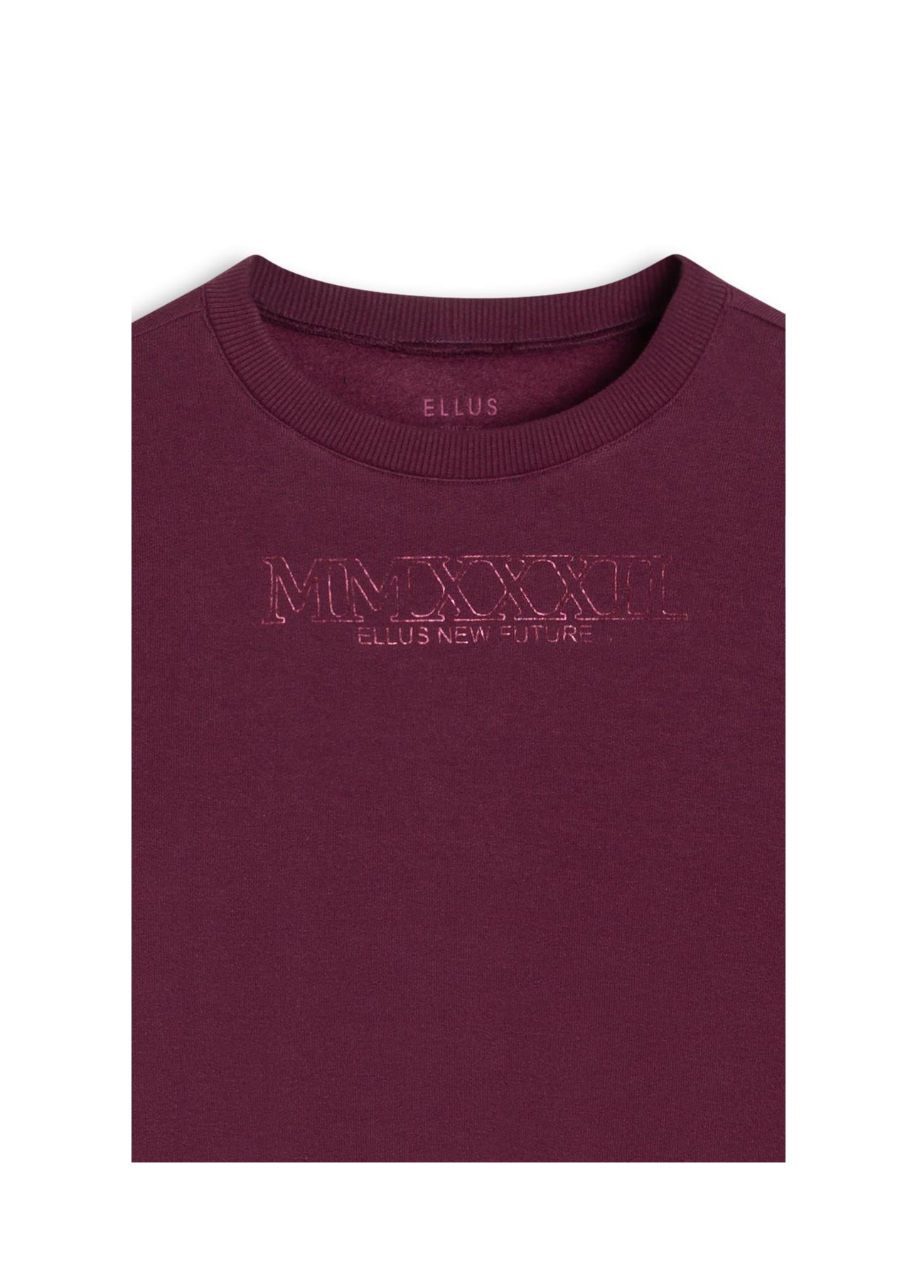 Moletom Brushed Fleece New Future Pitaya