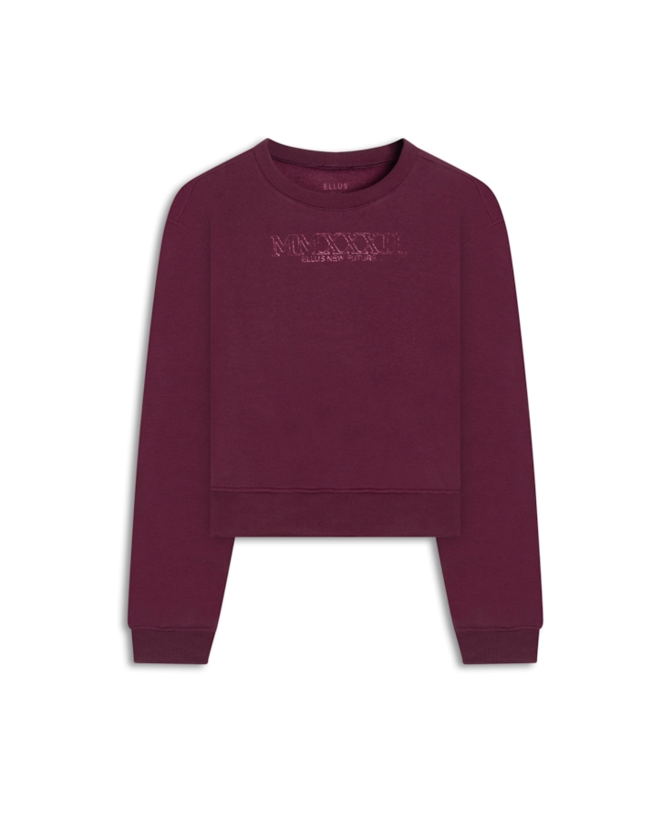 Moletom Brushed Fleece New Future Pitaya