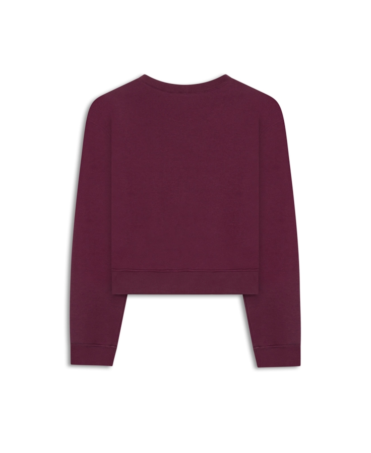 Moletom Brushed Fleece New Future Pitaya