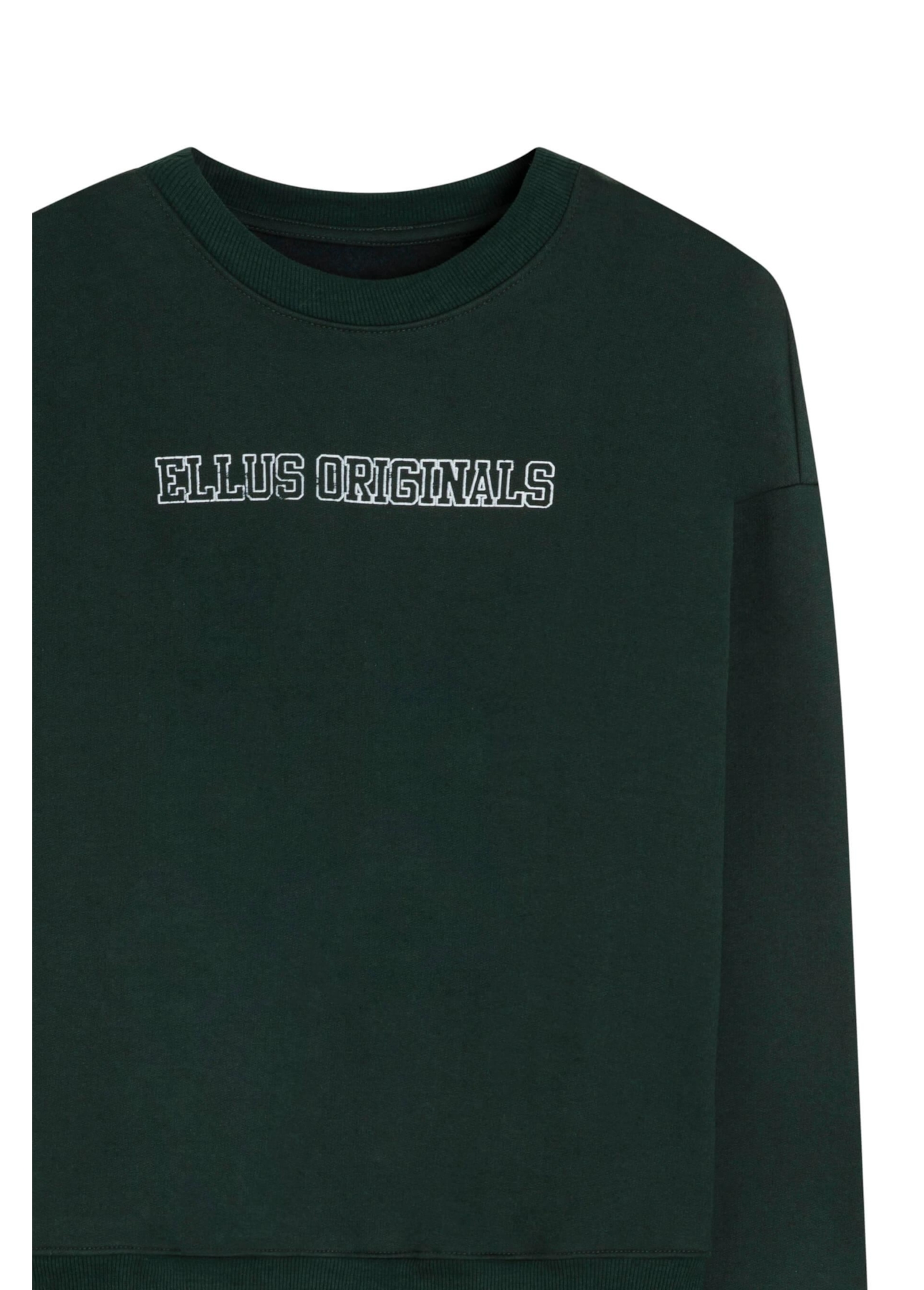 Blusa Moletom Moletom Ellus Masculino Moletom Fleece Ellus