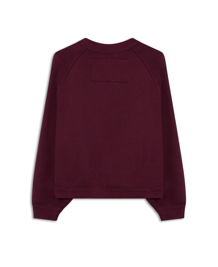 Moletom Velvet Raglan Pitaya