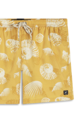 Nylon Beach Trucker Scallop Padrao 1