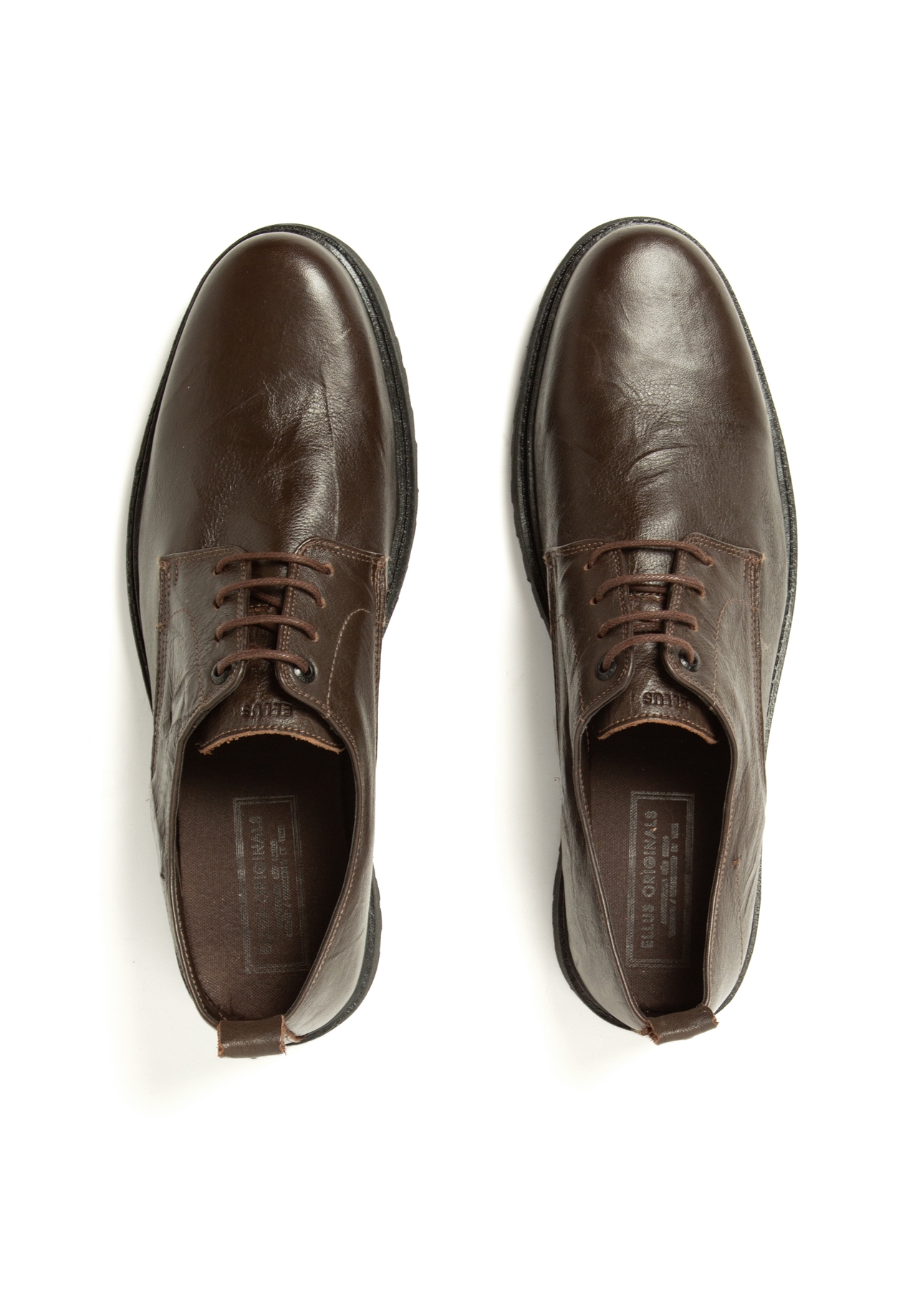 Sapato Ludwing Ellus Cafe