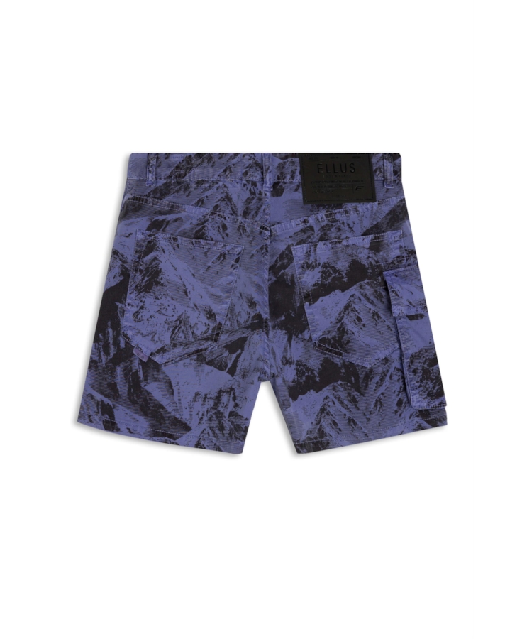 Short Color  Mountains Kate Azul Jeans