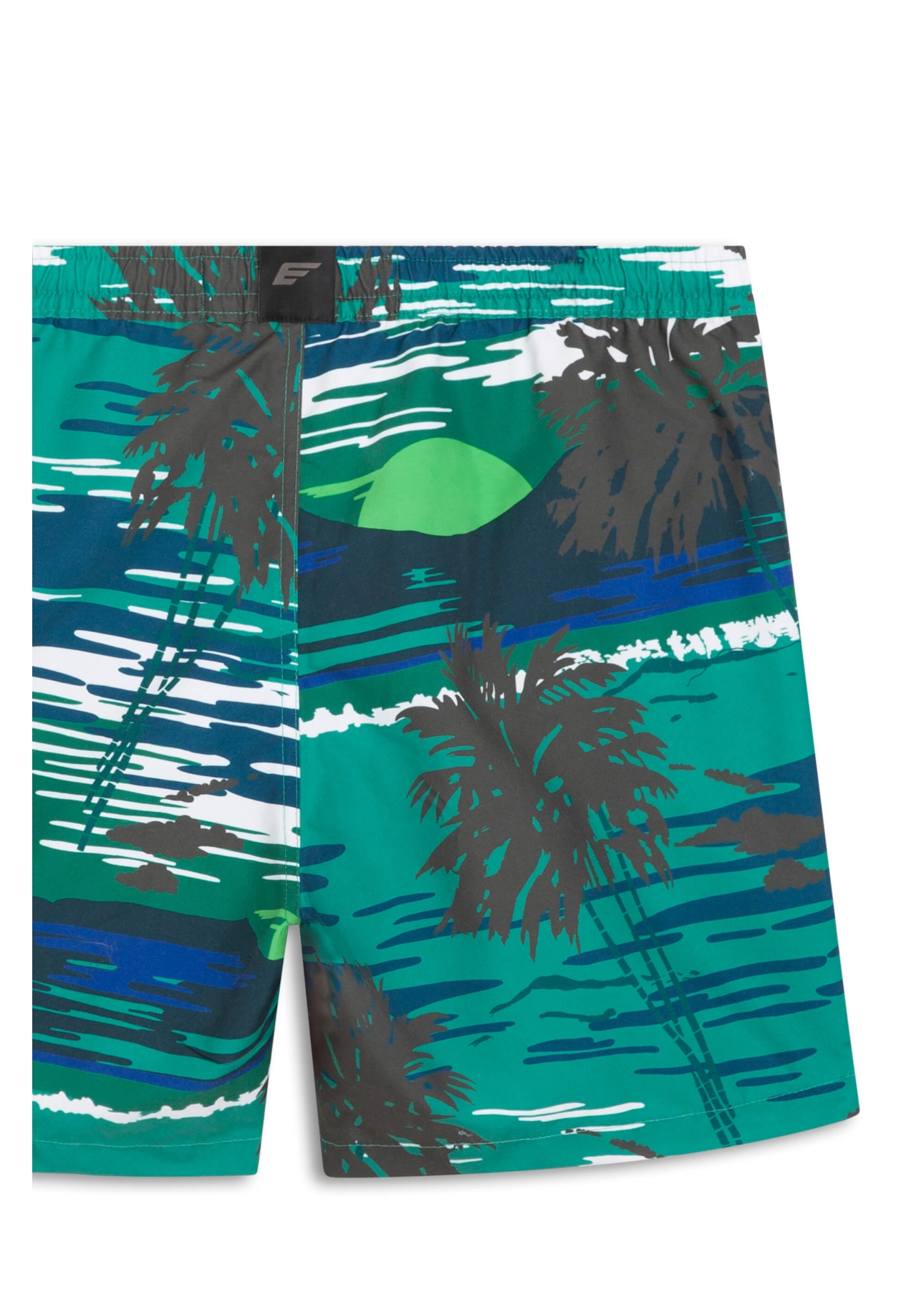 Shorts Nylon Ellus Sunset Truck Verde Bandeira
