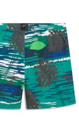 Shorts Nylon Ellus Sunset Truck Verde Bandeira