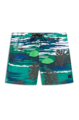 Shorts Nylon Ellus Sunset Truck Verde Bandeira