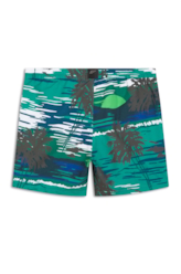 Shorts Nylon Ellus Sunset Truck Verde Bandeira
